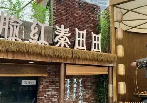 脸红秦田田奶茶加盟