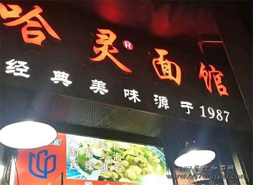 上海哈灵面馆加盟电话 哈灵面馆怎么加盟 哈灵面馆可以加盟吗