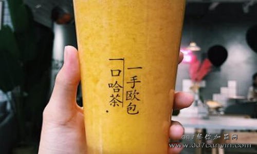 哈茶加加盟一家店投资多少